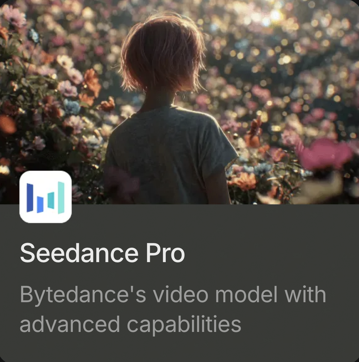 Seedance Pro