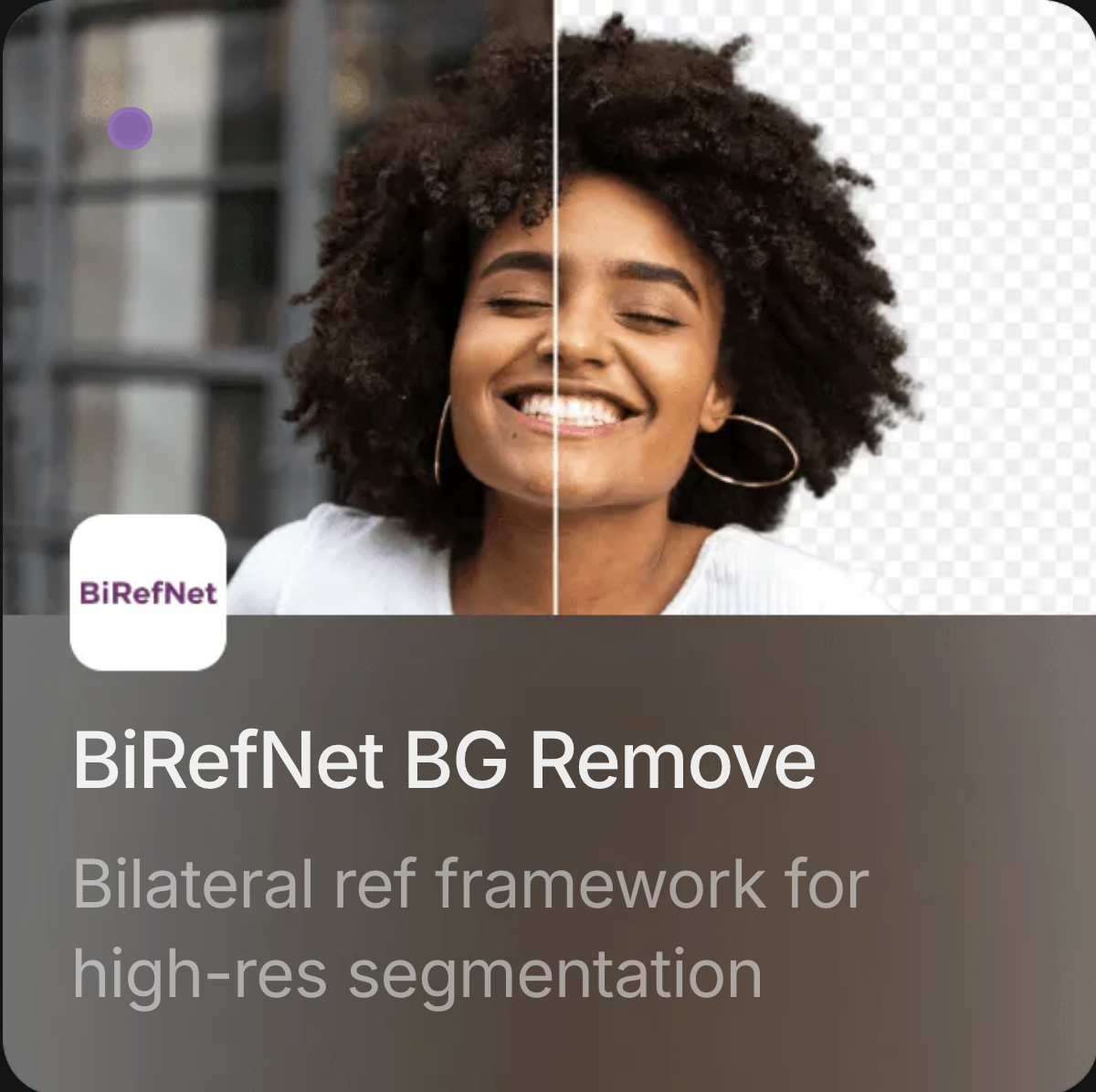 BiRefNet BG Remove